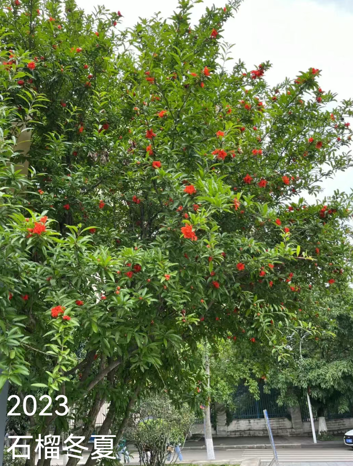 image4.png